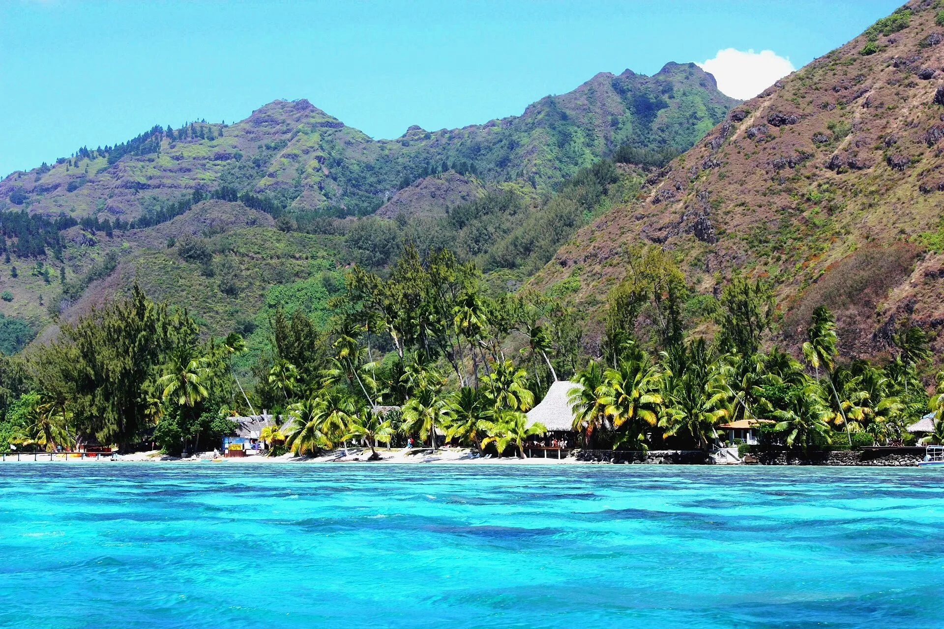 Moorea : la nature à 30 minutes de Tahiti