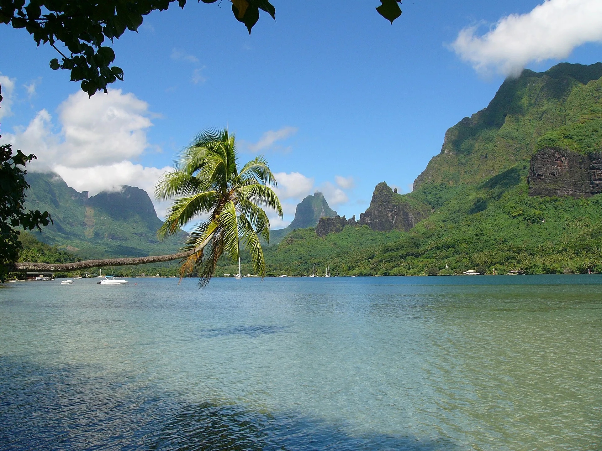 Jours 3 à 5 : Moorea, la nature et le lagon