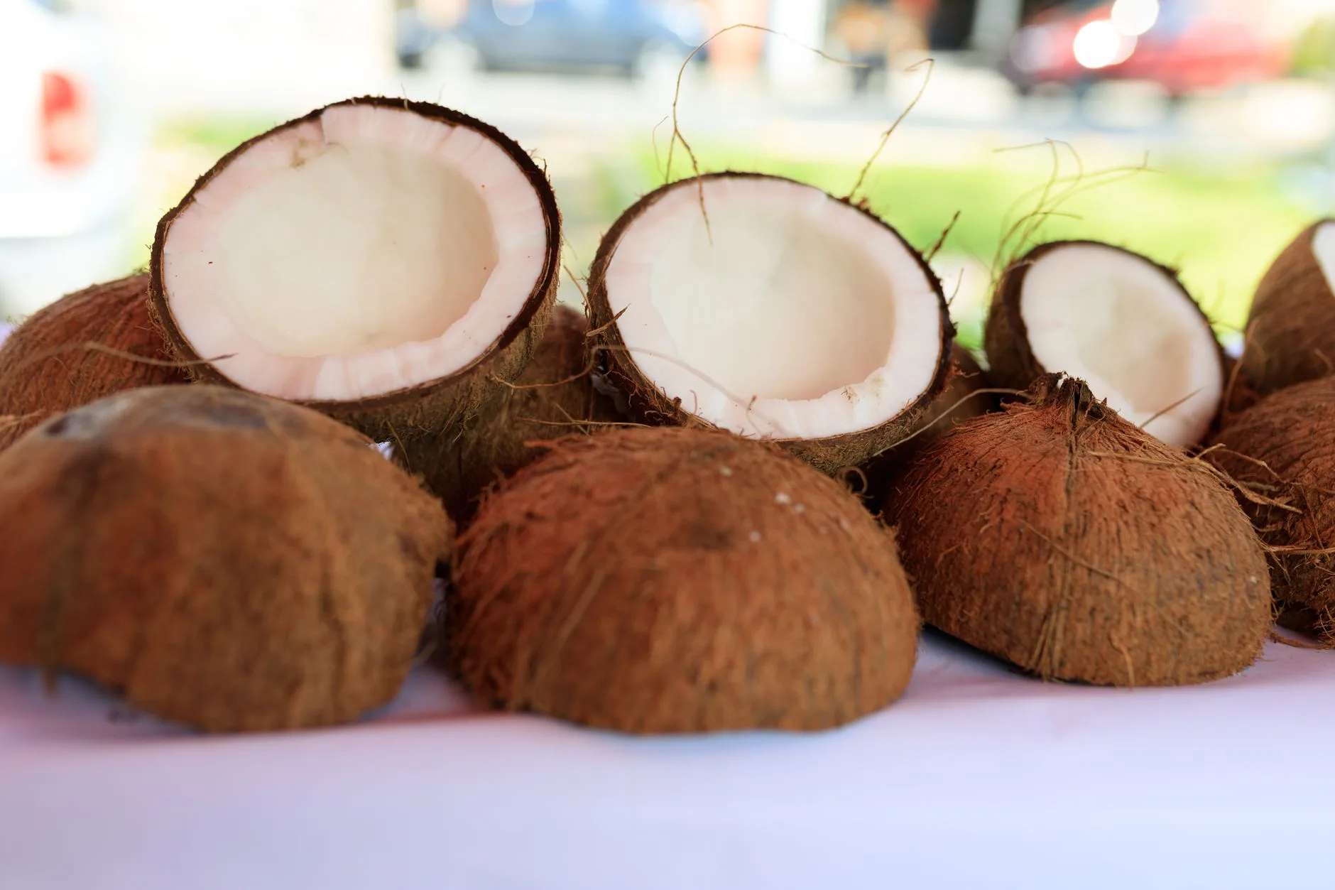 Noix de coco ouvertes exposées, ingrédient du poisson cru au lait de coco en Polynésie