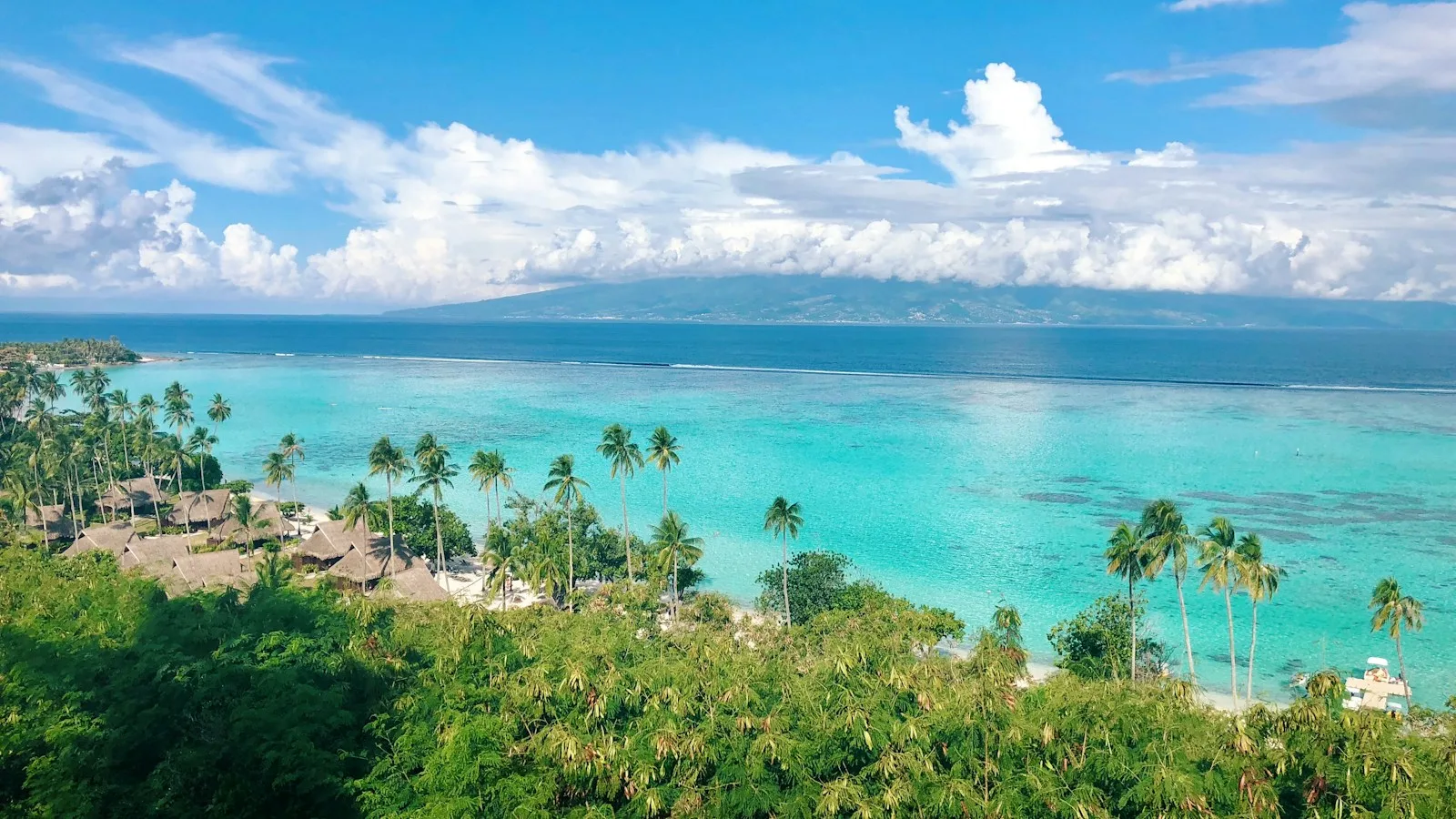 Lagon turquoise bordé de cocotiers en Polynésie française sous un ciel dégagé